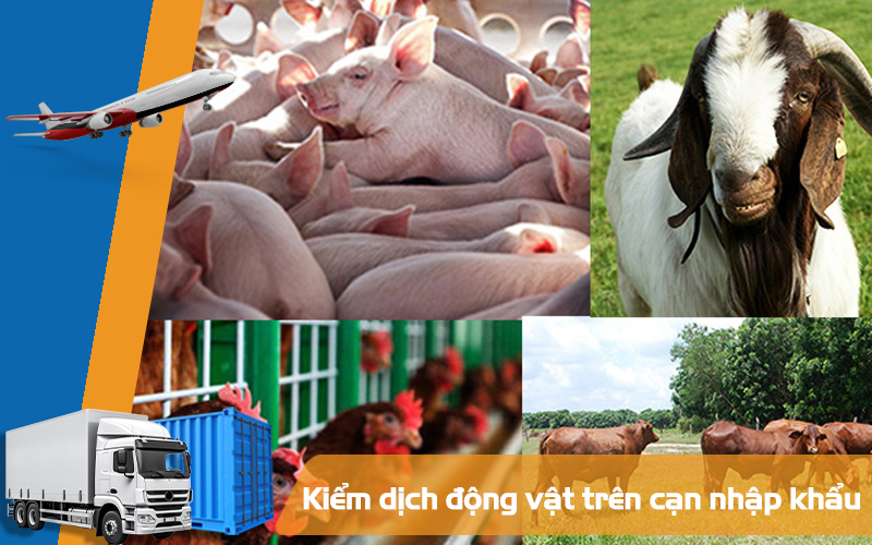 Kiểm dịch động vật